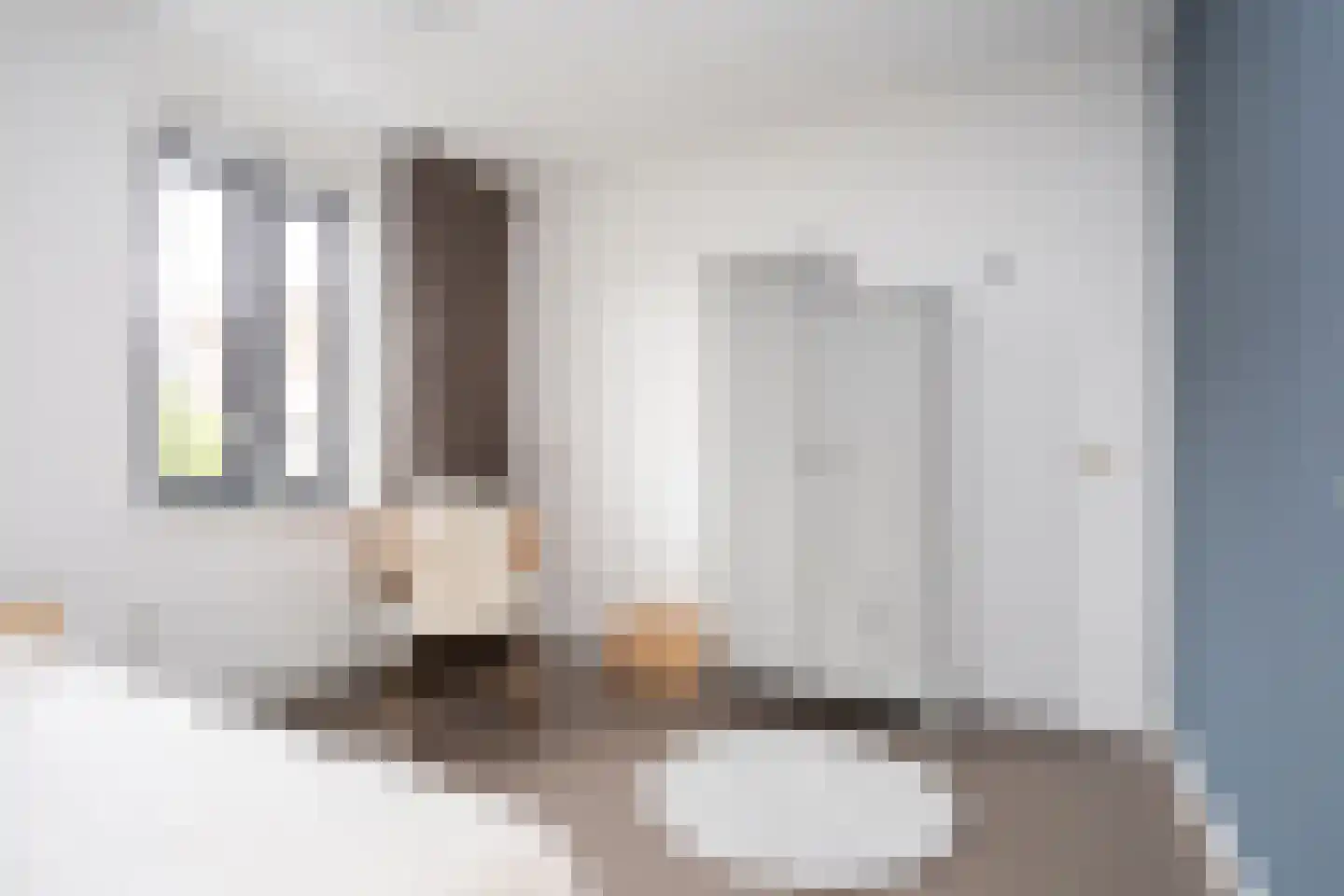 Rietsingel 7 Pijnacker thumbnail 35