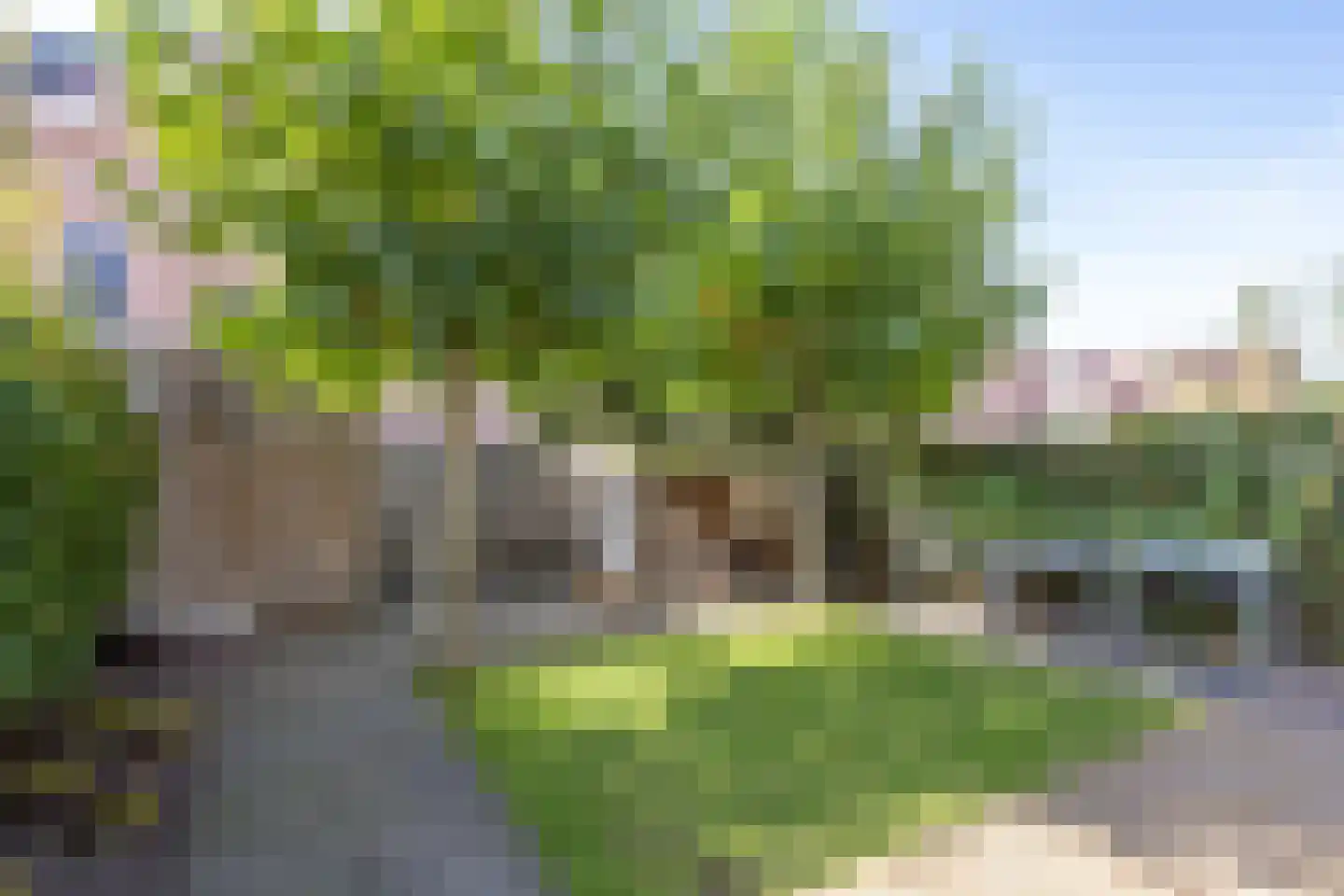 Rietsingel 7 Pijnacker thumbnail 55