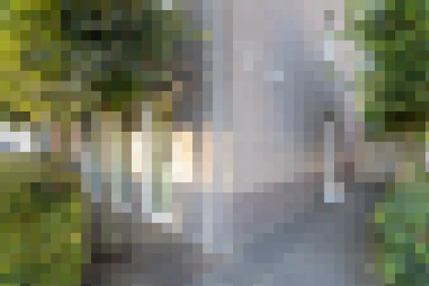 Rietsingel 7 Pijnacker thumbnail 7