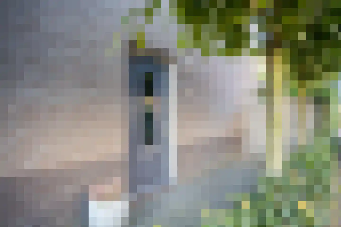 Rietsingel 7 Pijnacker thumbnail 8