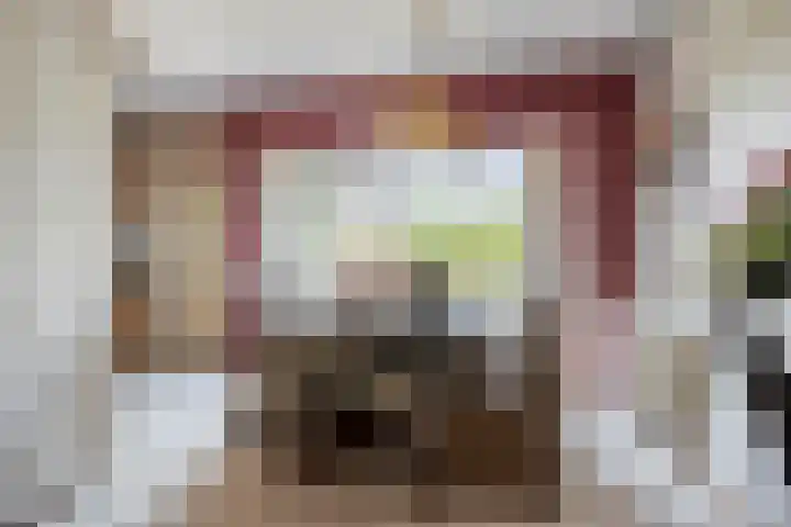 Rietsingel 9 Brakel thumbnail 10