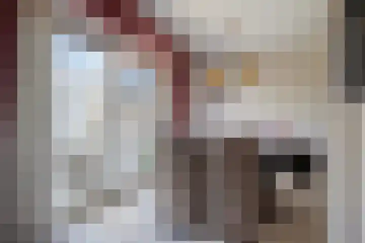 Rietsingel 9 Brakel thumbnail 11