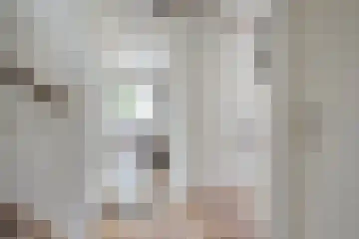 Rietsingel 9 Brakel thumbnail 16