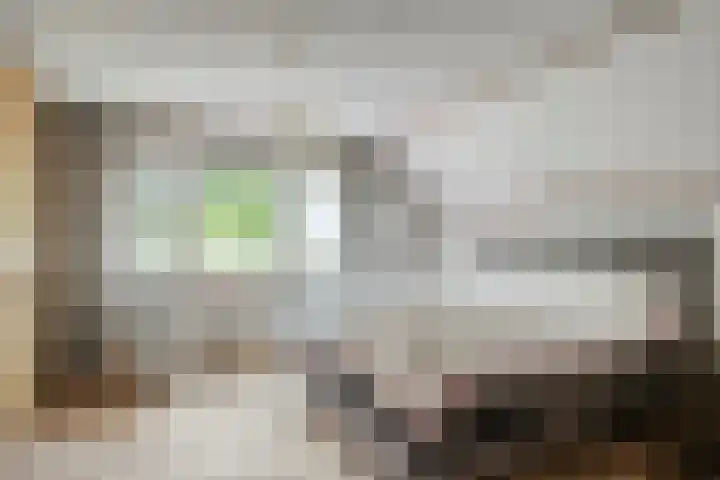 Rietsingel 9 Brakel thumbnail 17