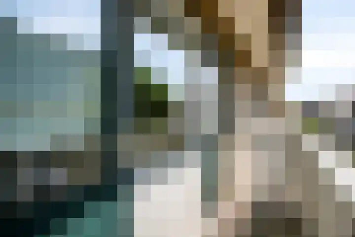 Rietsingel 9 Brakel thumbnail 18