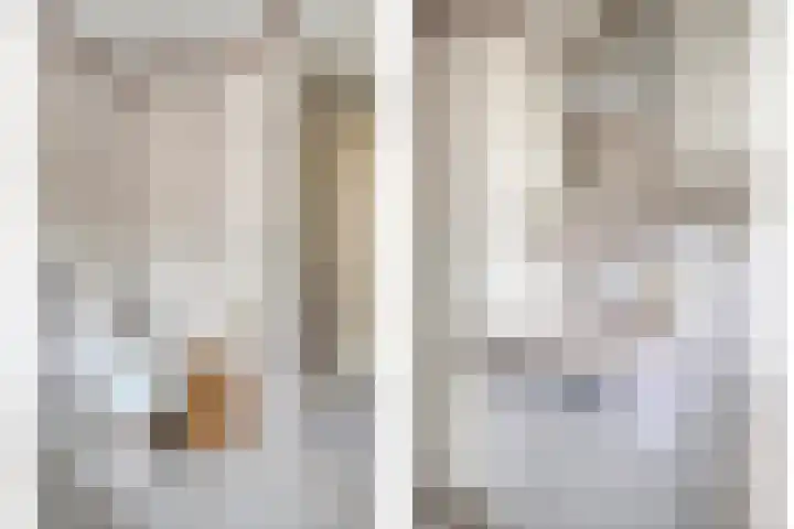 Rietsingel 9 Brakel thumbnail 20