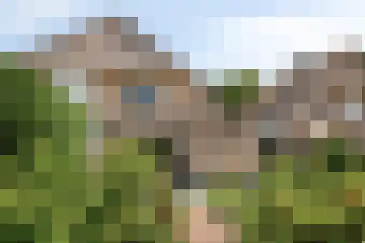 Rietsingel 9 Brakel thumbnail 23