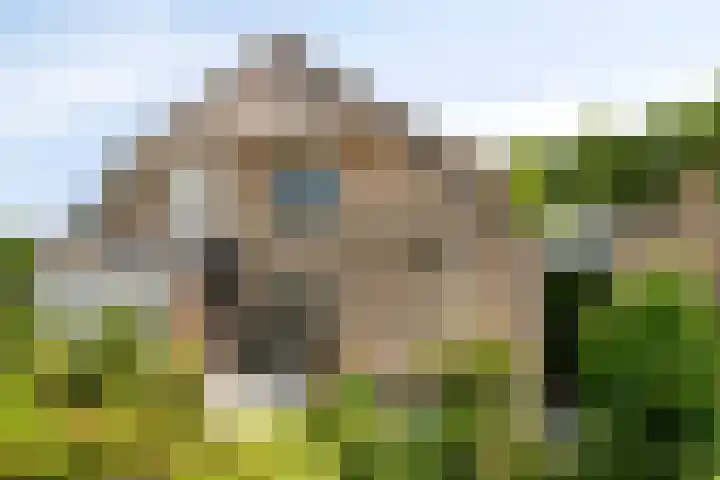 Rietsingel 9 Brakel thumbnail 24