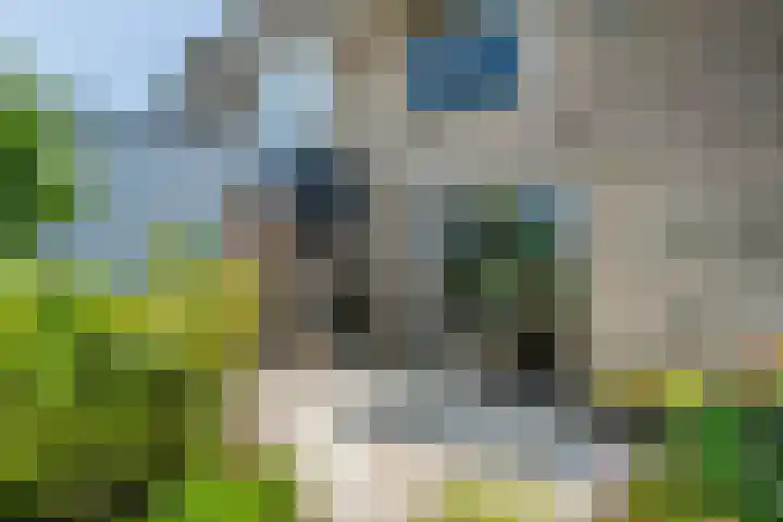 Rietsingel 9 Brakel thumbnail 25