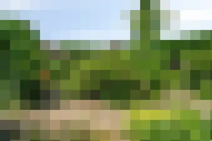 Rietsingel 9 Brakel thumbnail 26