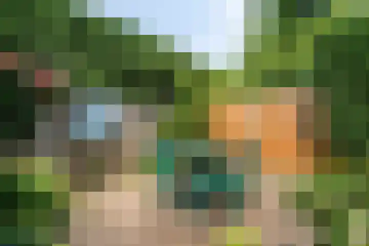 Rietsingel 9 Brakel thumbnail 27