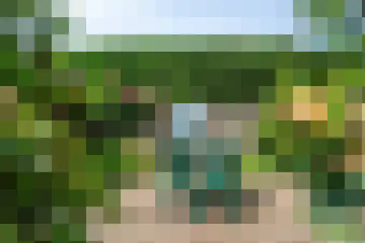 Rietsingel 9 Brakel thumbnail 28