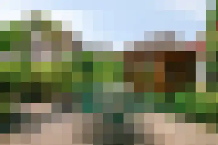 Rietsingel 9 Brakel thumbnail 29