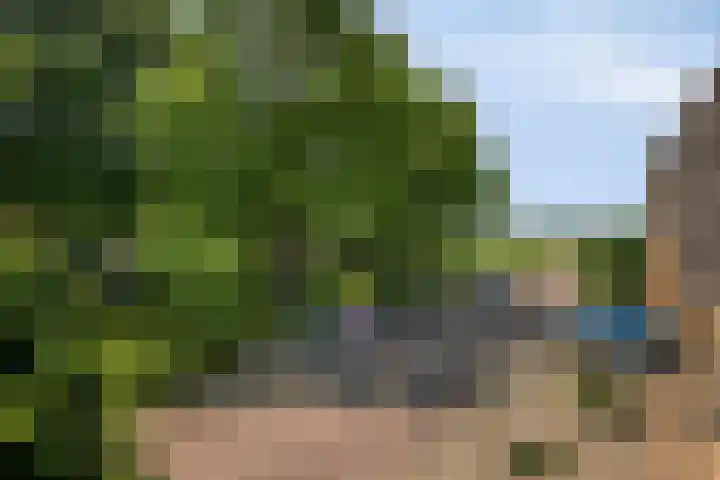 Rietsingel 9 Brakel thumbnail 31
