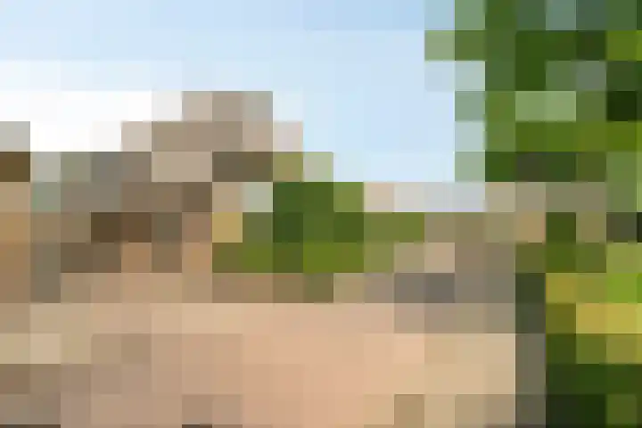 Rietsingel 9 Brakel thumbnail 32