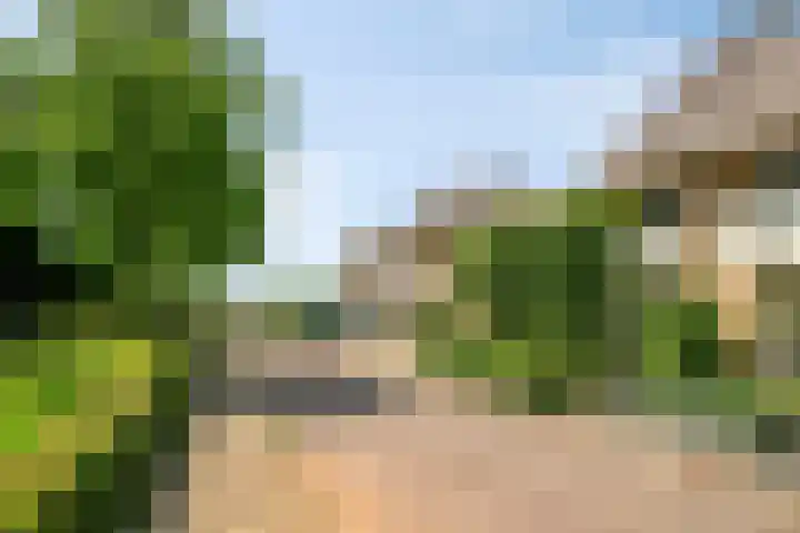 Rietsingel 9 Brakel thumbnail 33