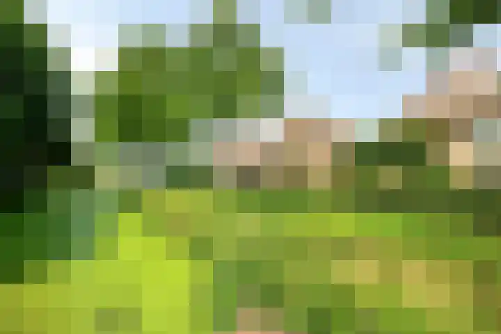 Rietsingel 9 Brakel thumbnail 34