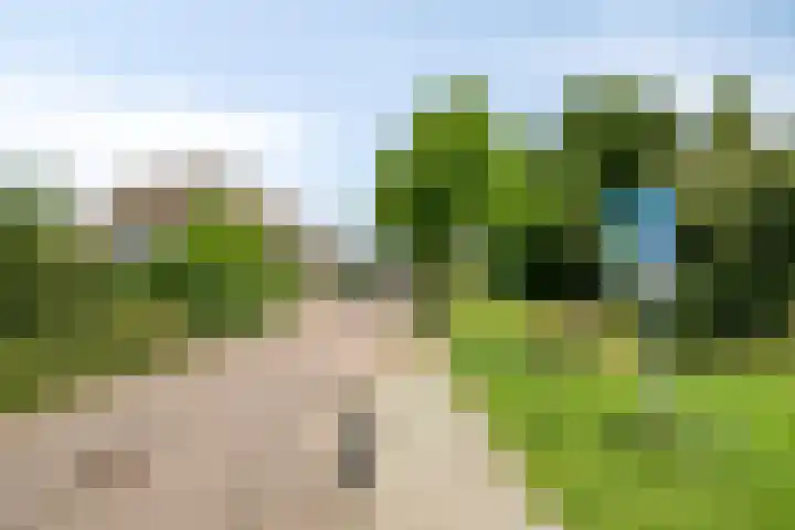 Rietsingel 9 Brakel thumbnail 35