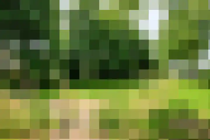 Rietsingel 9 Brakel thumbnail 36