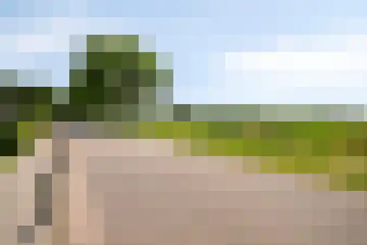 Rietsingel 9 Brakel thumbnail 37