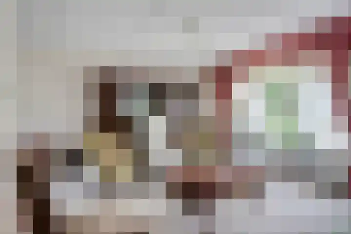 Rietsingel 9 Brakel thumbnail 6