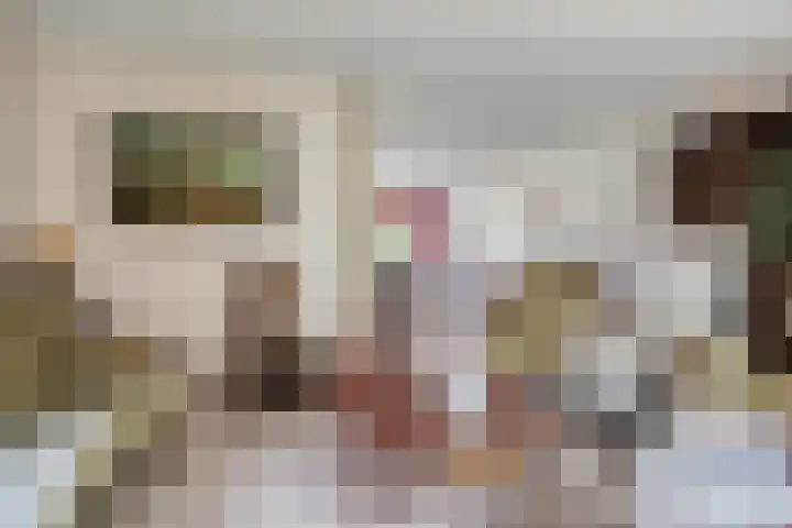 Rietsingel 9 Brakel thumbnail 7