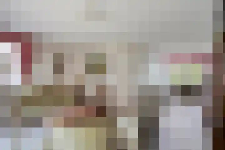 Rietsingel 9 Brakel thumbnail 8