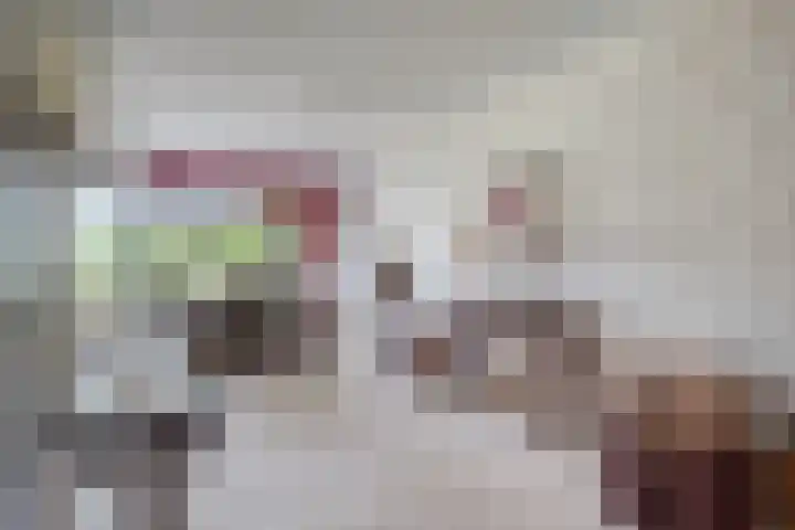 Rietsingel 9 Brakel thumbnail 9