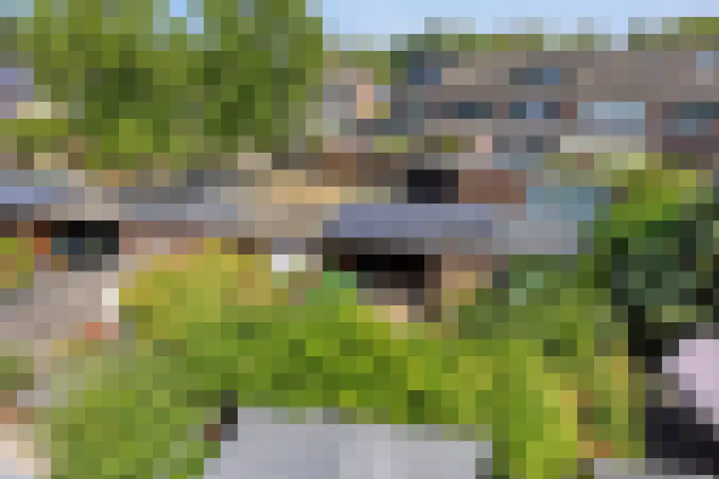 Rietsnijder 14 Oud-Beijerland thumbnail 28