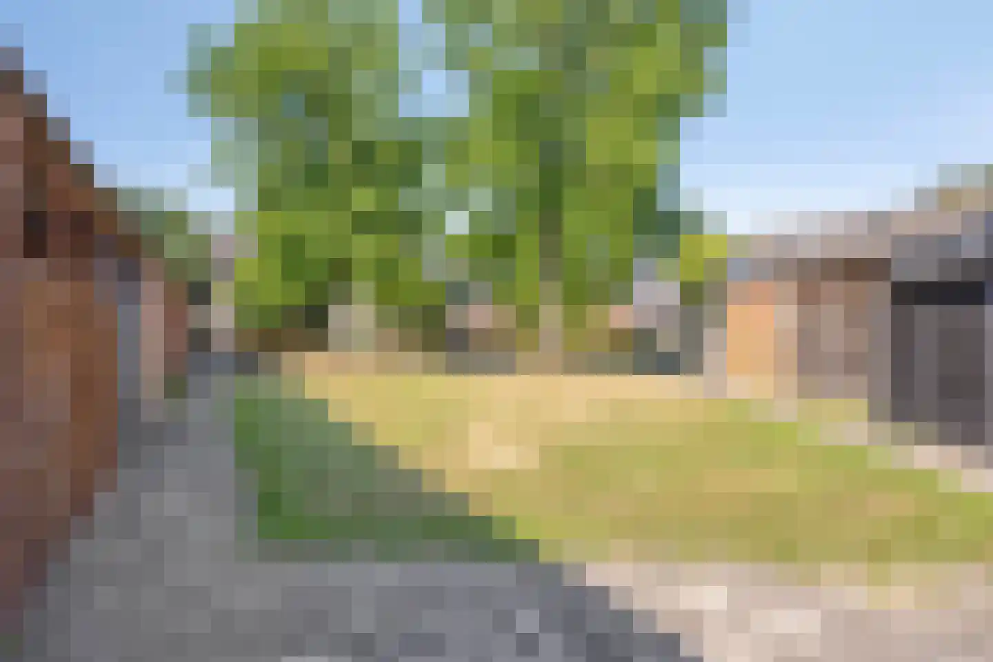 Rietsnijder 14 Oud-Beijerland thumbnail 29