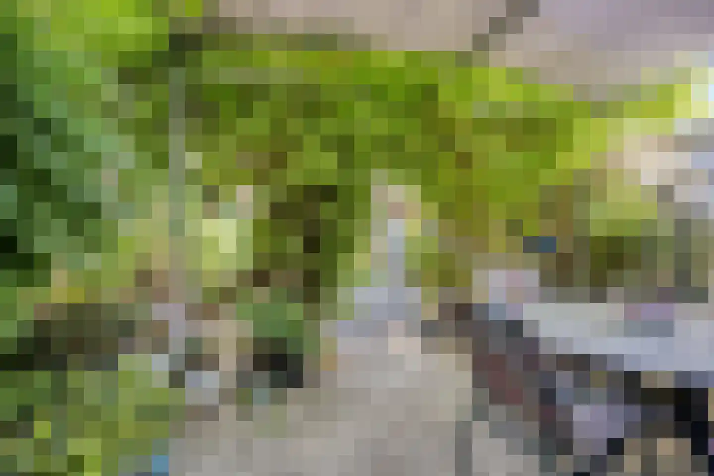 Rietsnijder 14 Oud-Beijerland thumbnail 4