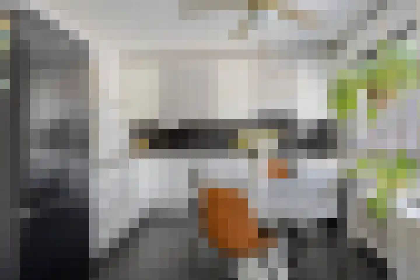 Rietsnijder 14 Oud-Beijerland thumbnail 8