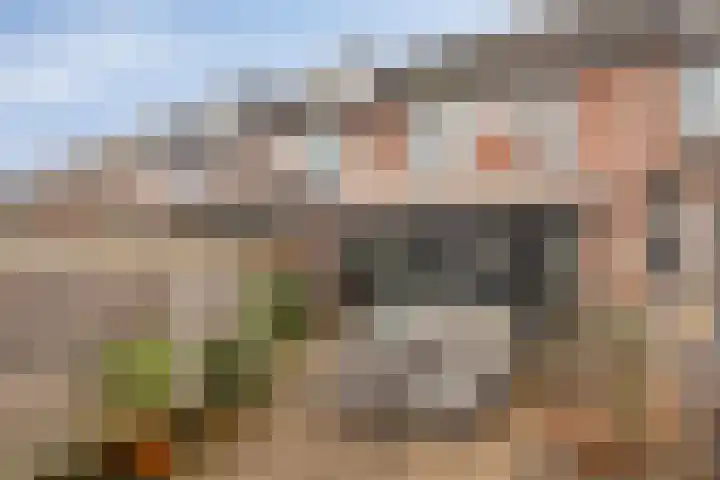 Rietsnijder 26 Oud-Beijerland thumbnail 25