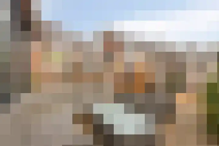 Rietsnijder 26 Oud-Beijerland thumbnail 26