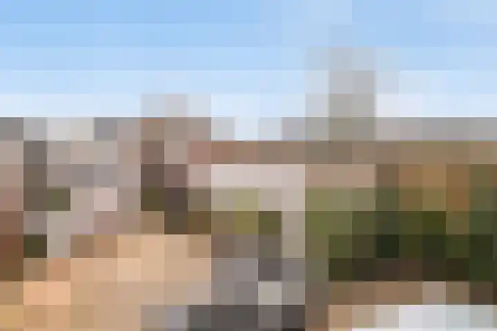 Rietsnijder 26 Oud-Beijerland thumbnail 27