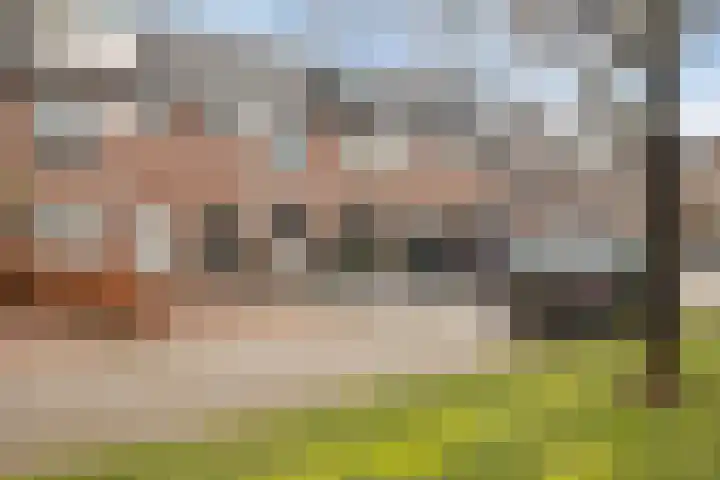 Rietsnijder 26 Oud-Beijerland thumbnail 29