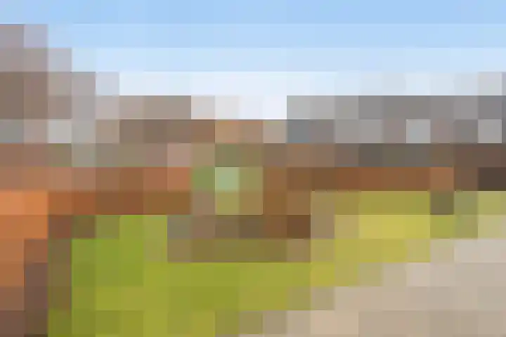 Rietsnijder 26 Oud-Beijerland thumbnail 31