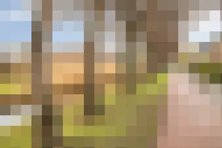 Rietsnijder 26 Oud-Beijerland thumbnail 32