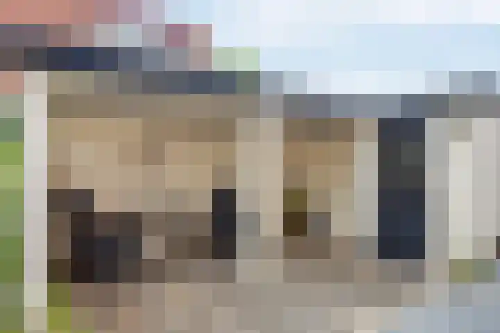 Rietsnijder 34 Spijkenisse thumbnail 10