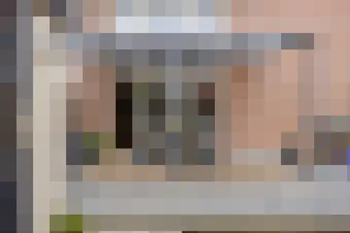 Rietsnijder 34 Spijkenisse thumbnail 12