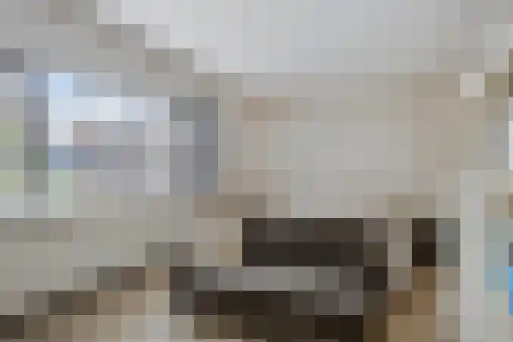Rietsnijder 34 Spijkenisse thumbnail 17
