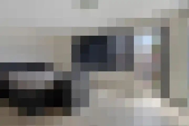 Rietsnijder 34 Spijkenisse thumbnail 25