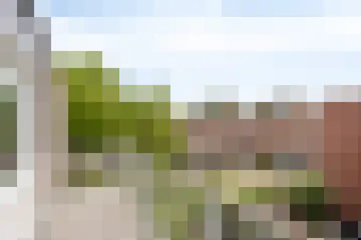Rietsnijder 34 Spijkenisse thumbnail 27