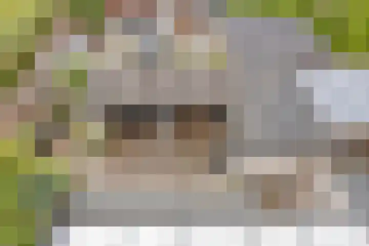Rietsnijder 34 Spijkenisse thumbnail 28