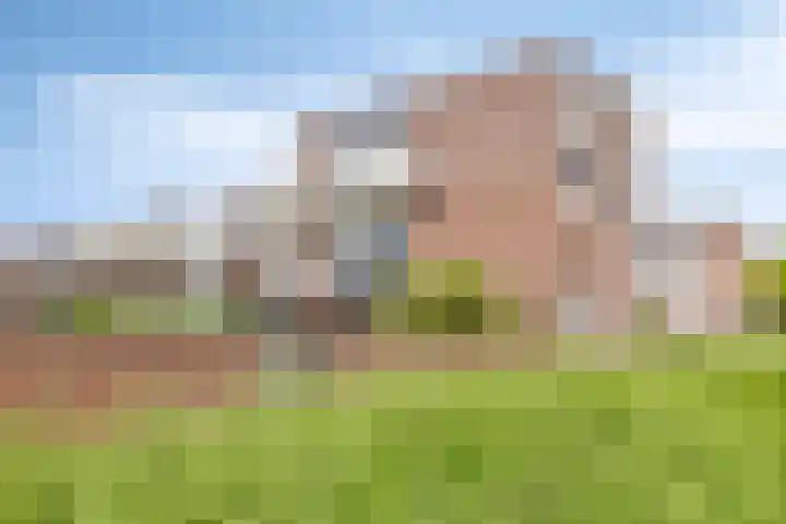 Rietsnijder 34 Spijkenisse thumbnail 29