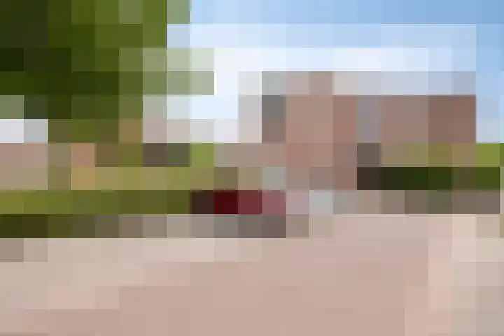 Rietsnijder 34 Spijkenisse thumbnail 30