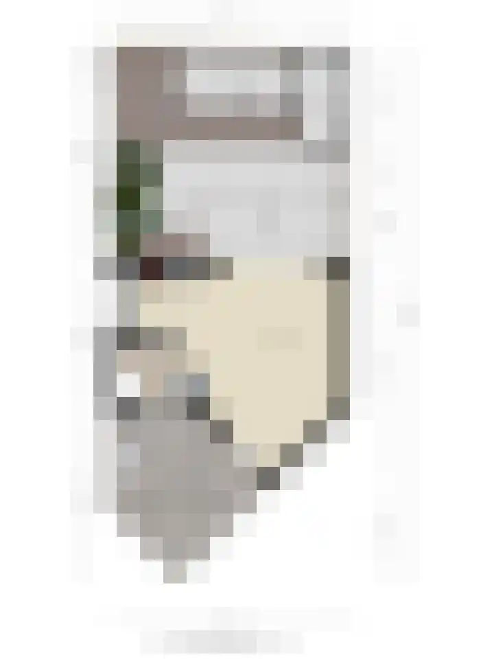 Rietsnijder 34 Spijkenisse thumbnail 32