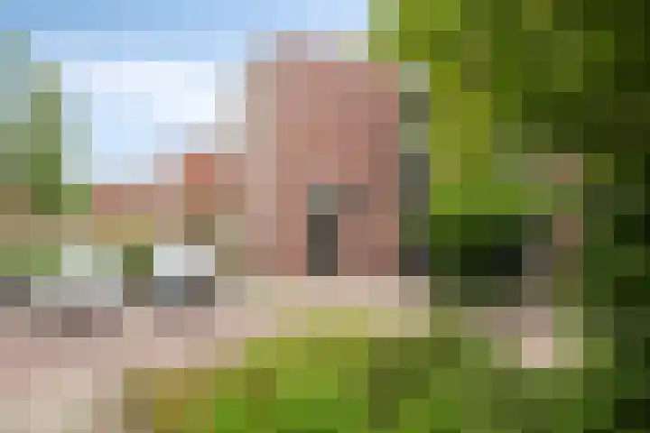 Rietsnijder 34 Spijkenisse thumbnail 5