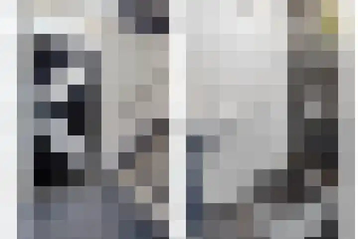 Rietsnijder 34 Spijkenisse thumbnail 6