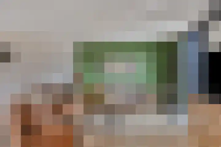 Rietsnijder 34 Spijkenisse thumbnail 7